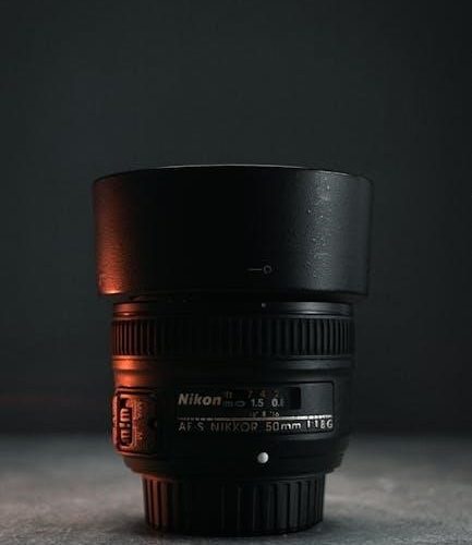 nikon d300 manual english
