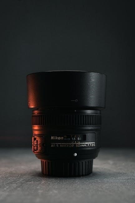 nikon d300 manual english