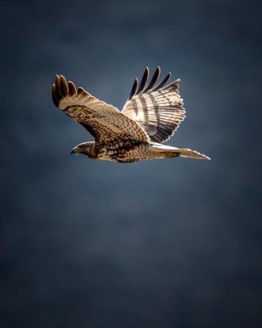 fly fishing washington guides