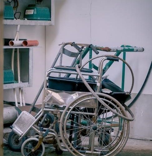 brivis wall controller manual pdf