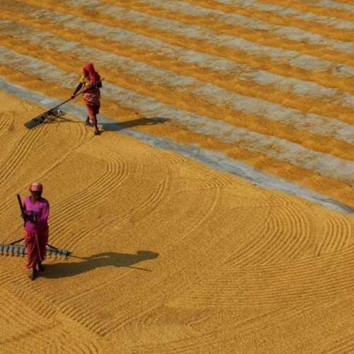 oster rice cooker manual