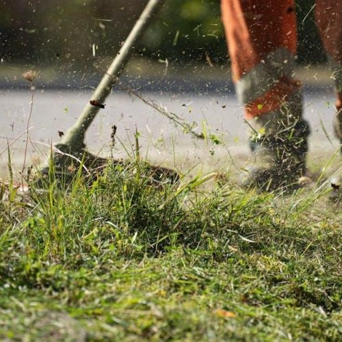 homelite gas trimmer manual